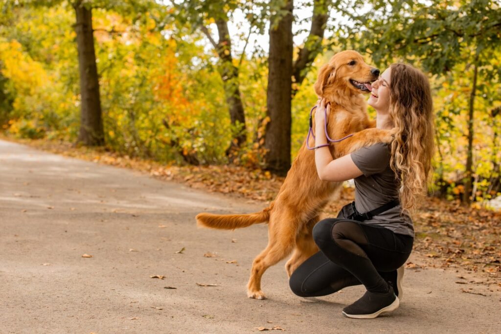 friendly dog training 