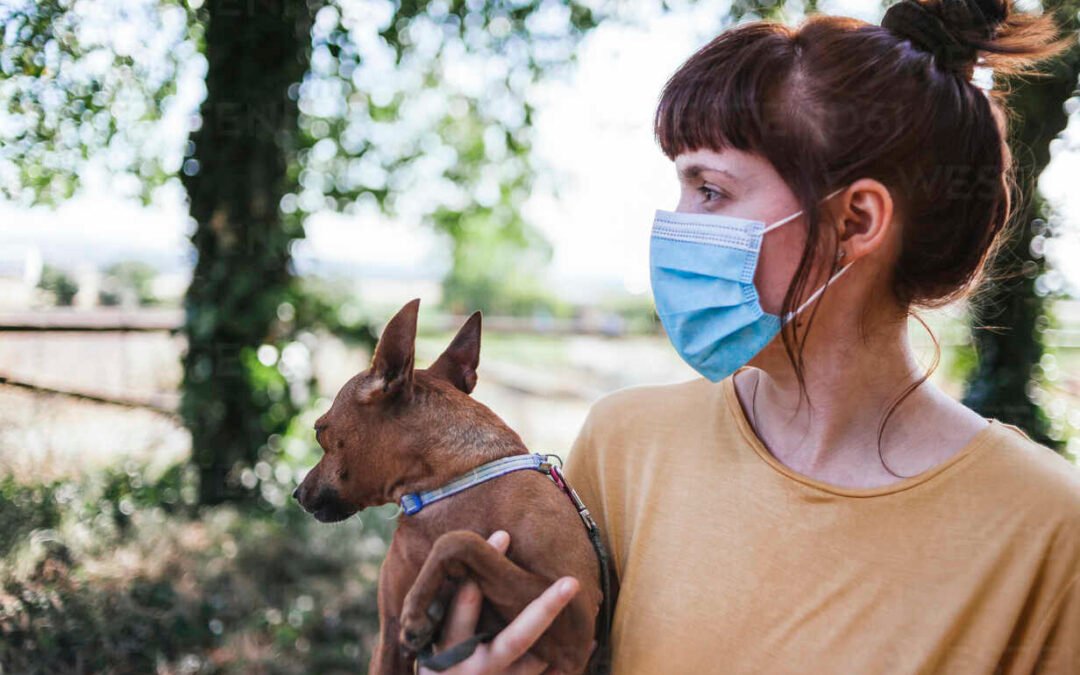 Is your dog scared of face masks? Tips to Build Trust and Comfort