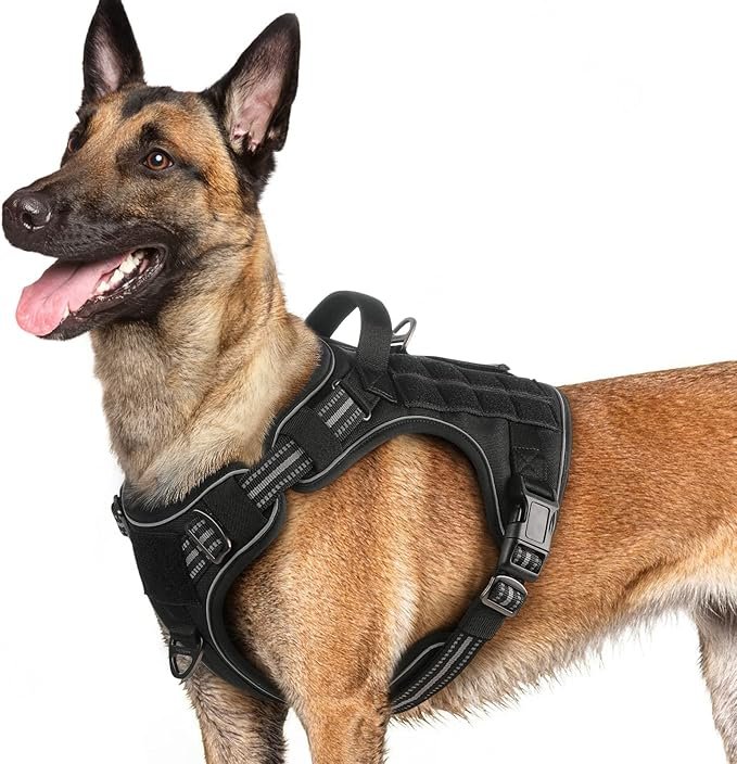 rabbitgoo Dog Harness for Large Dogs No Pull