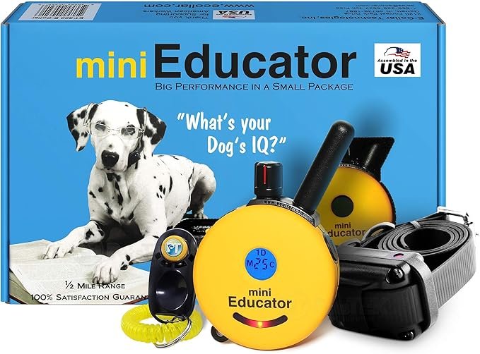 Educator E-Collar Remote Dog Training Collar